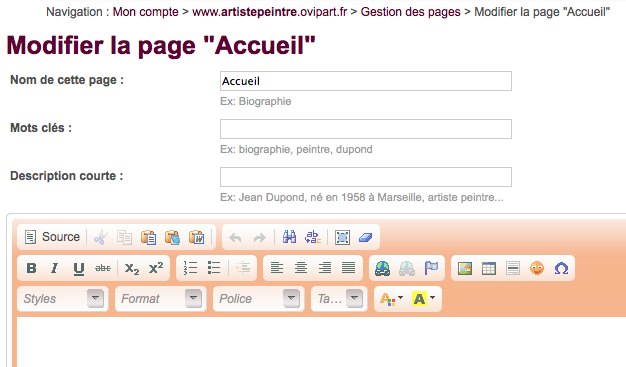 Modification de la page d'accueil du site internet