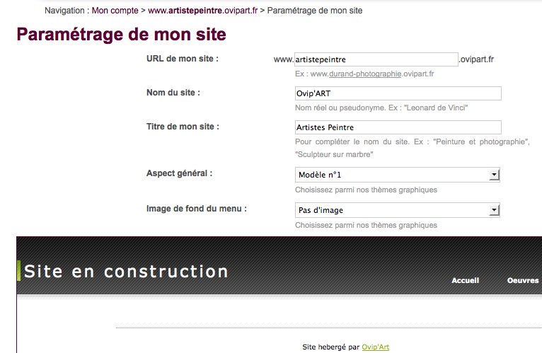 Parametrage du site internet de l'artiste peintre